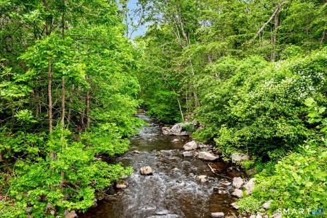 Nearby woodland creek